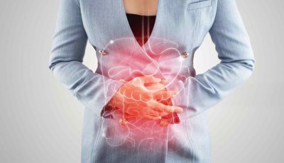 당신의 식탁을 지배하는 보이지 않는 손: 소화 호르몬, 그 거대한 영향력